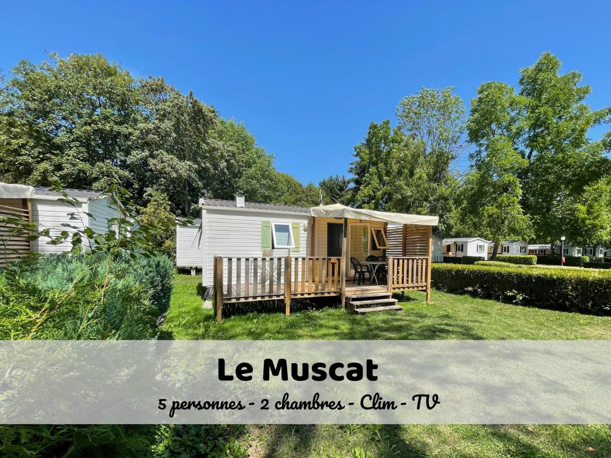 Le Muscat - Bungalow Pour 5 - Tv - Clim Boofzheim Rom bilde